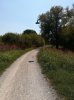 IMG_20170824_113917.jpg