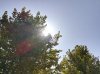 IMG_20170827_121656.jpg