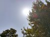 IMG_20170827_121557.jpg